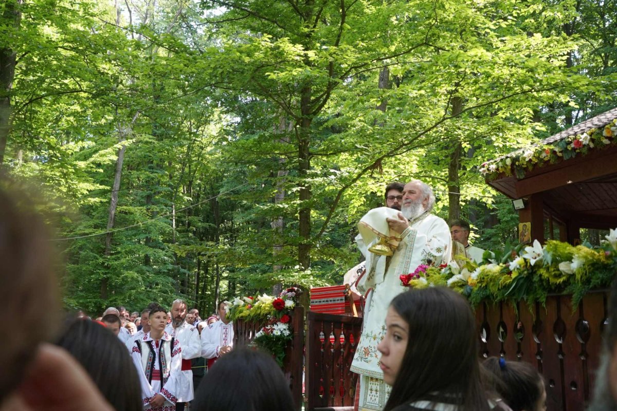 Zestrea din cufărul viitorului 257510