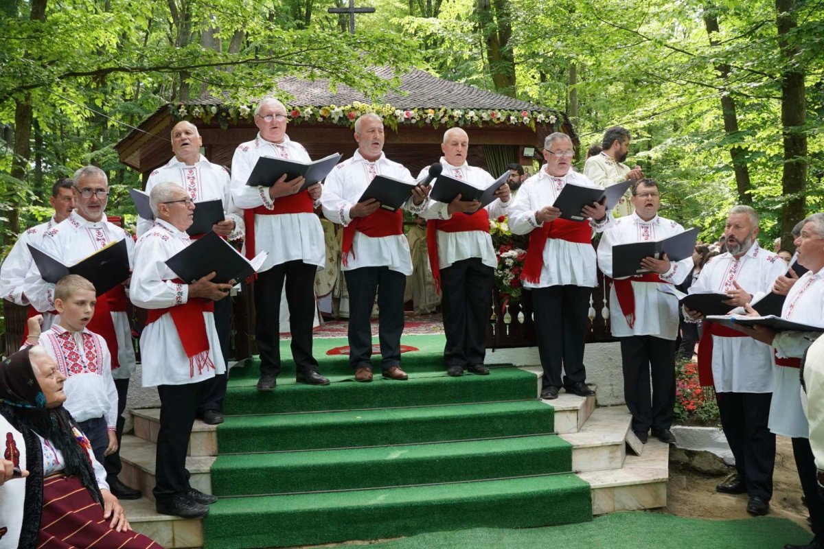 Zestrea din cufărul viitorului 257511