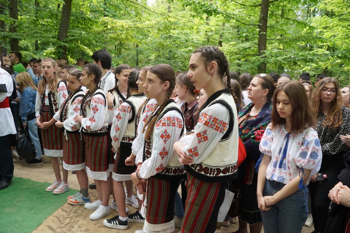 Zestrea din cufărul viitorului 257512