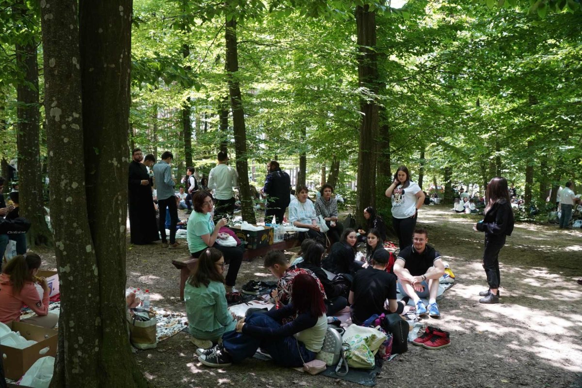 Zestrea din cufărul viitorului 257516