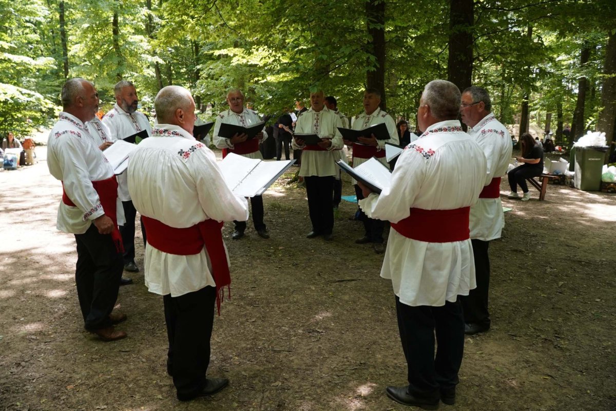 Zestrea din cufărul viitorului 257517