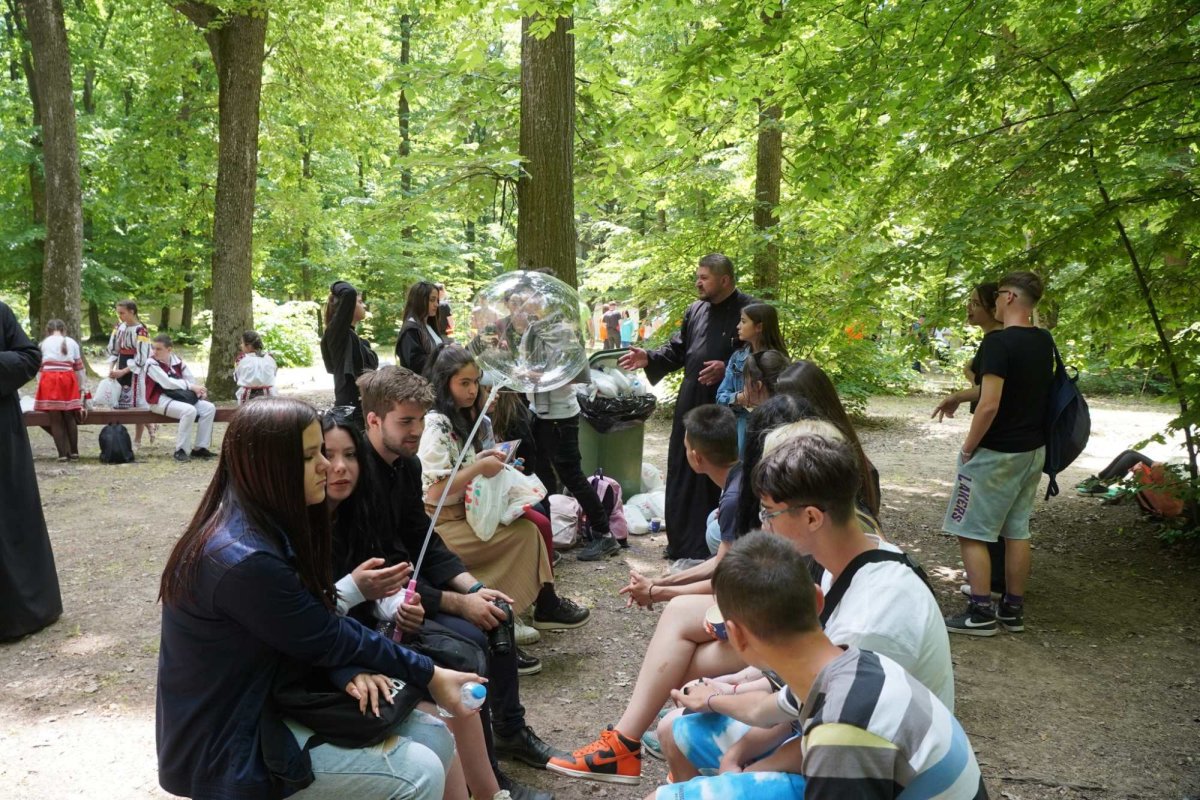 Zestrea din cufărul viitorului 257518