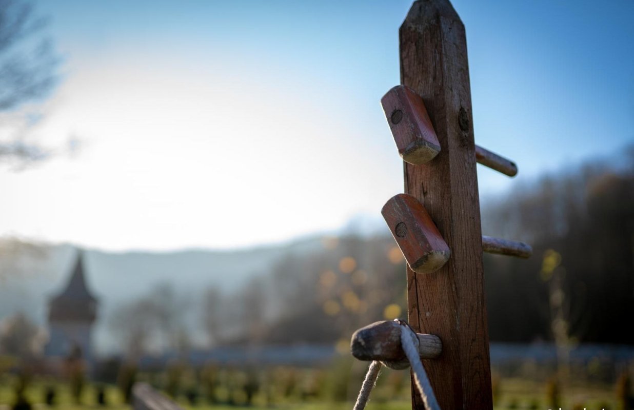 Originalitatea concepției despre suflet în Ortodoxie 257874