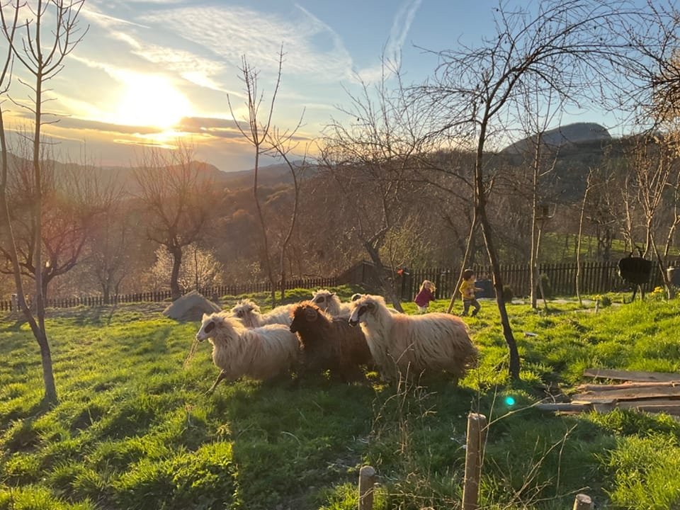 „Satul, un fel de casă părintească a celor care iubesc această țară” 257929