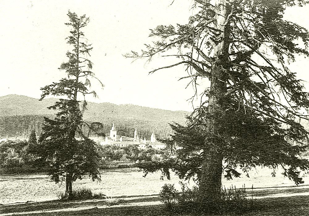 Călugări nemțeni dăruiți cântării și slujirii Bisericii 258667