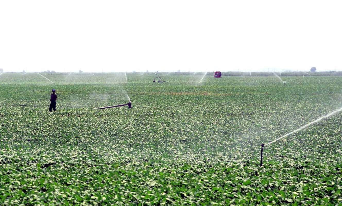 Producție din Ucraina mutată la Târgu Jiu 258679