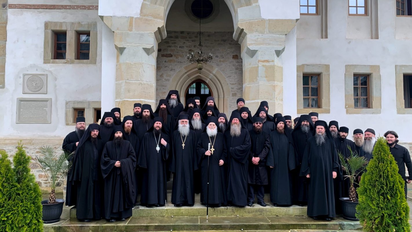 Vizita părintelui Efrem Vatopedinul la Mănăstirea Putna 259345