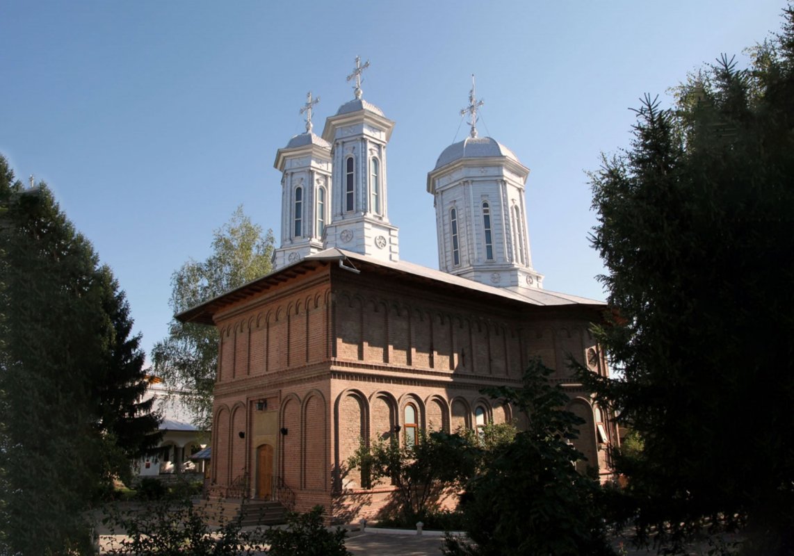 Psaltul și profesorul buzoian Matache Slăvulescu 259391