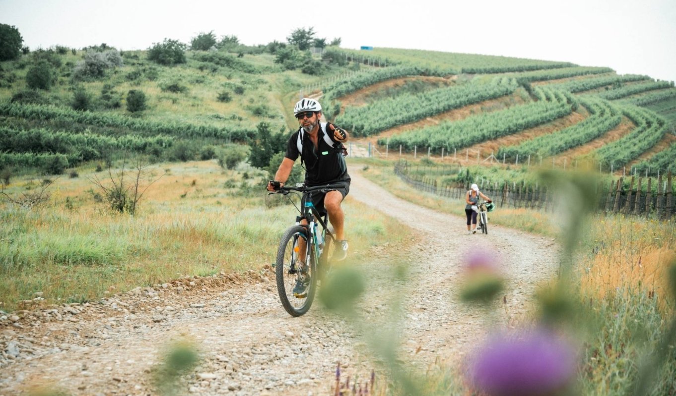 Traseu de drumeție în zona Dealu Mare 260309