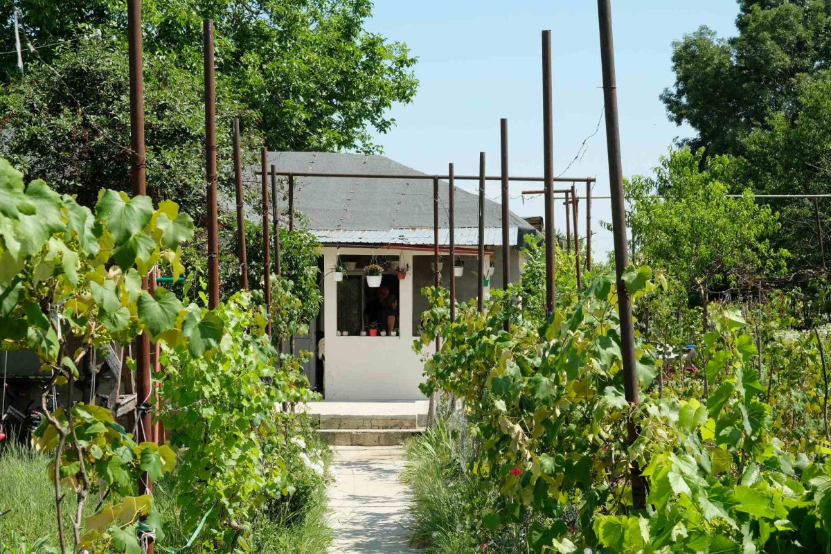 Parohia în care bătrânii trăiesc în vecinătatea misterului 260688