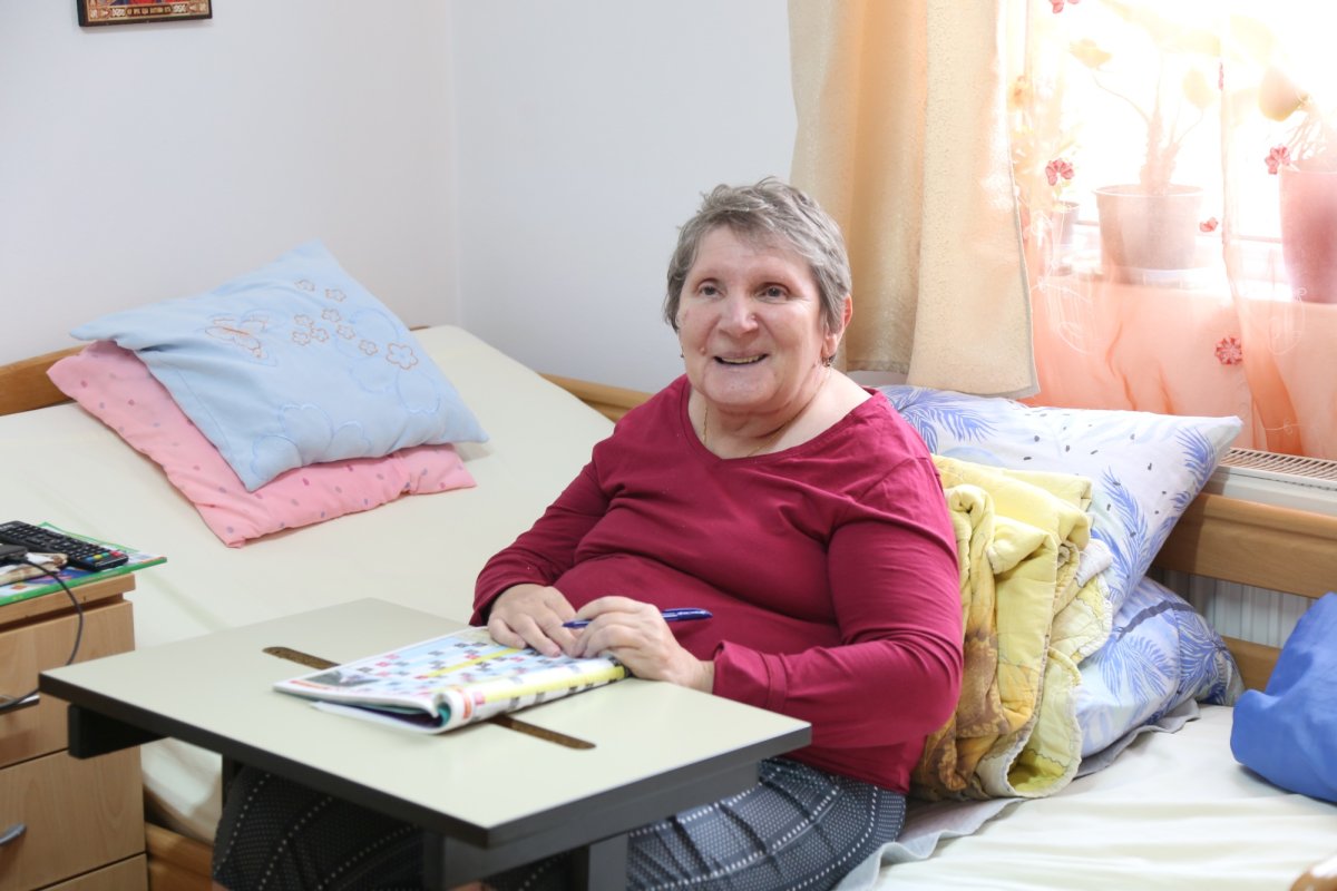 Căminul vârstnicilor ocrotiți de Sfântul Andrei în Alba Iulia 260983