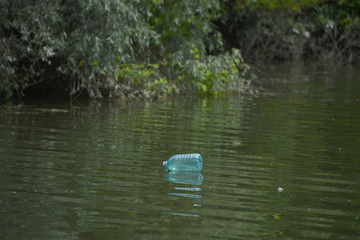 Semnal de alarmă privind microplasticul prezent în ape 262162