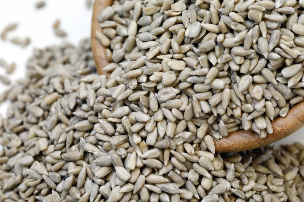 România solicită prelungirea embargoului privind cerealele ucrainene 262361