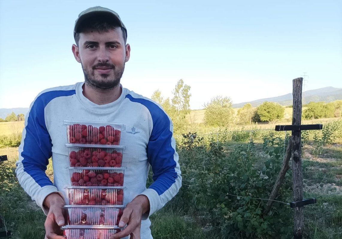 Întors din Germania pentru a investi într-o plantaţie de zmeur  262670