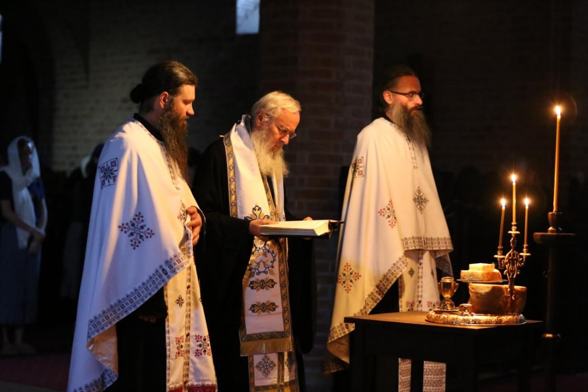 Ediția a cincea a Taberei internaționale de la Oașa, judeţul Alba 263042