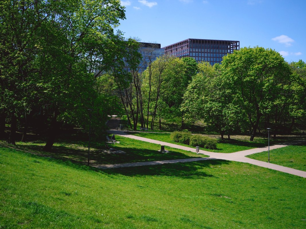 Competiţie deschisă oraşelor verzi 263183