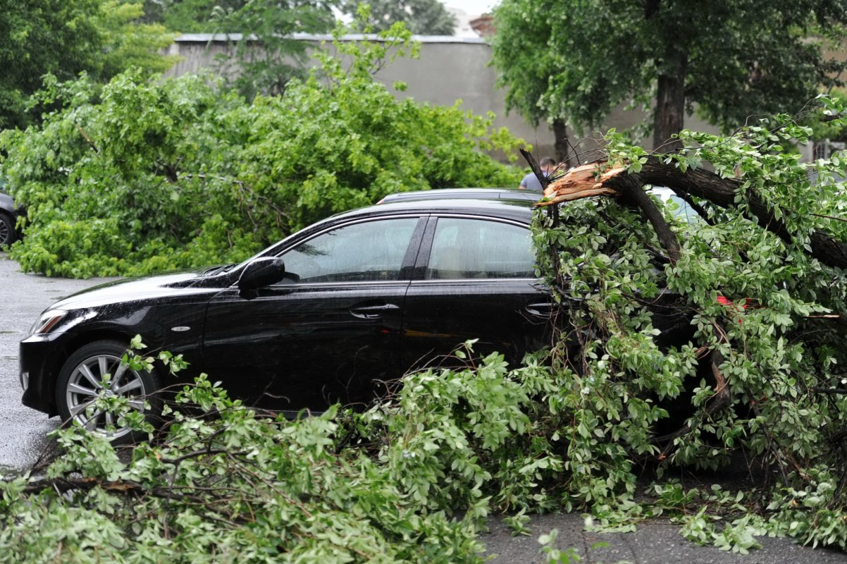 Cum ne protejăm în timpul fenomenelor meteo extreme 263182