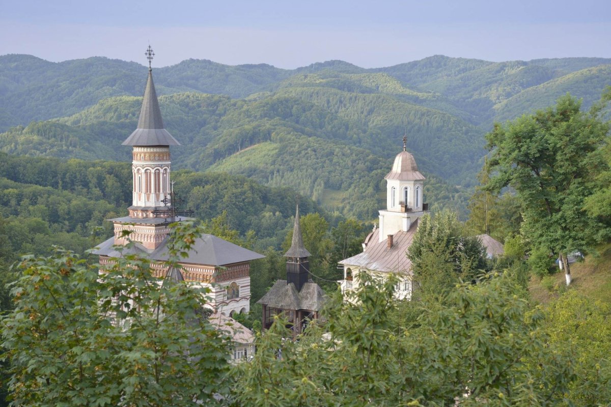 Libertatea, tema vieţii și operei lui Nicolae Steinhardt 263149