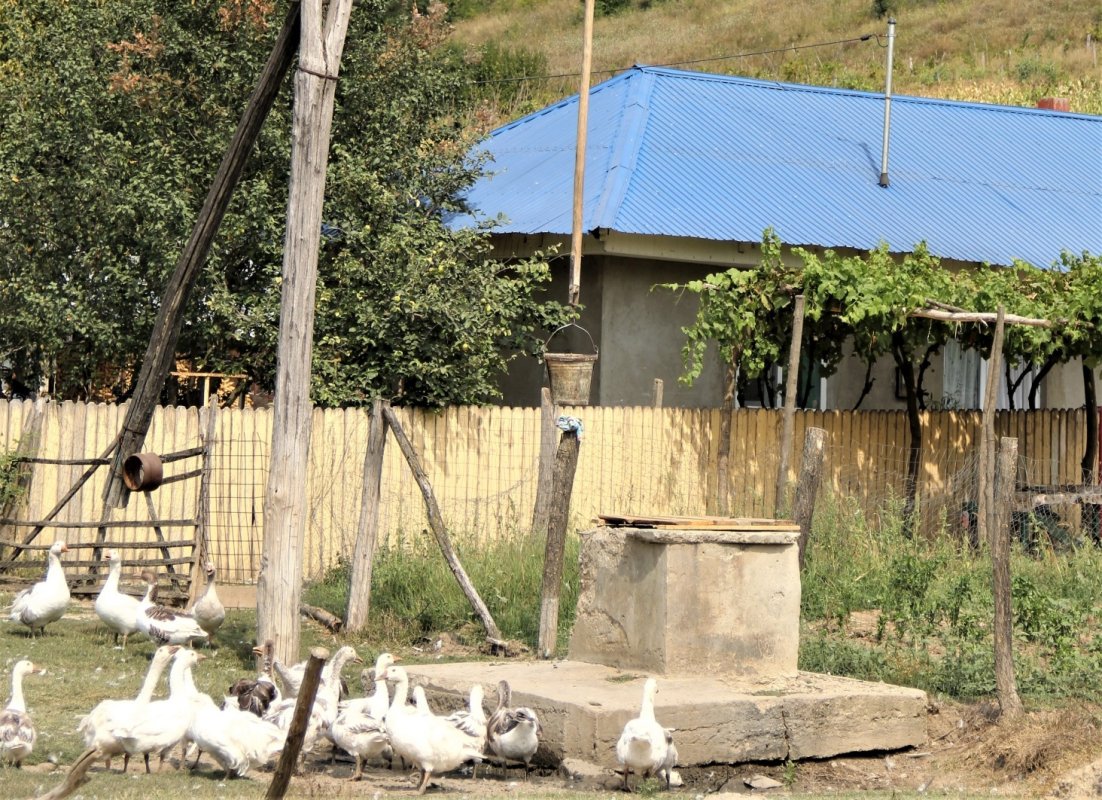 Peste 60% din fântânile buzoiene au apa contaminată 263527