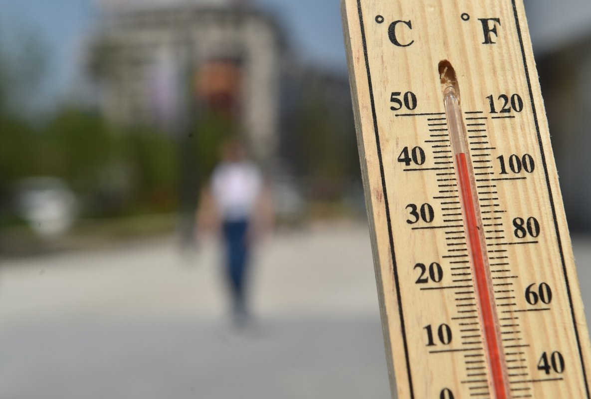 Canicula revine în toată ţara 263719