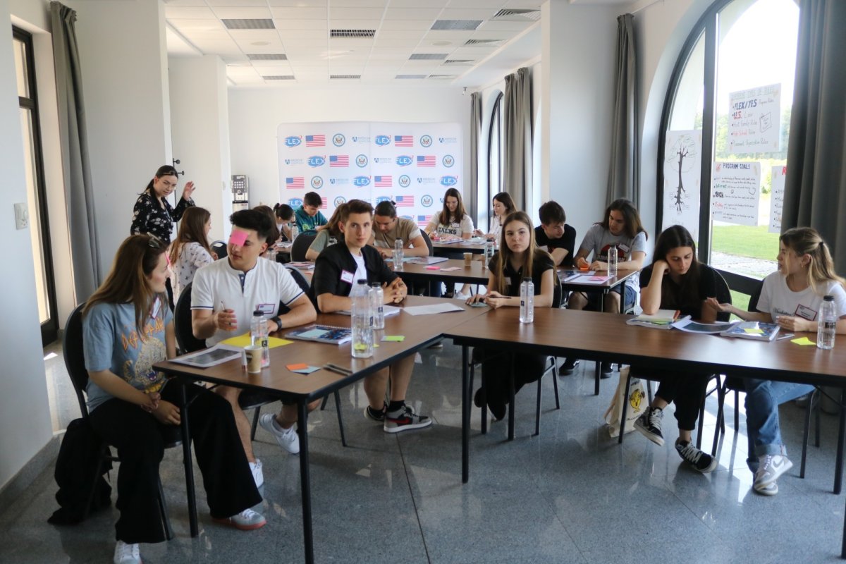 Burse în SUA pentru liceeni 263839