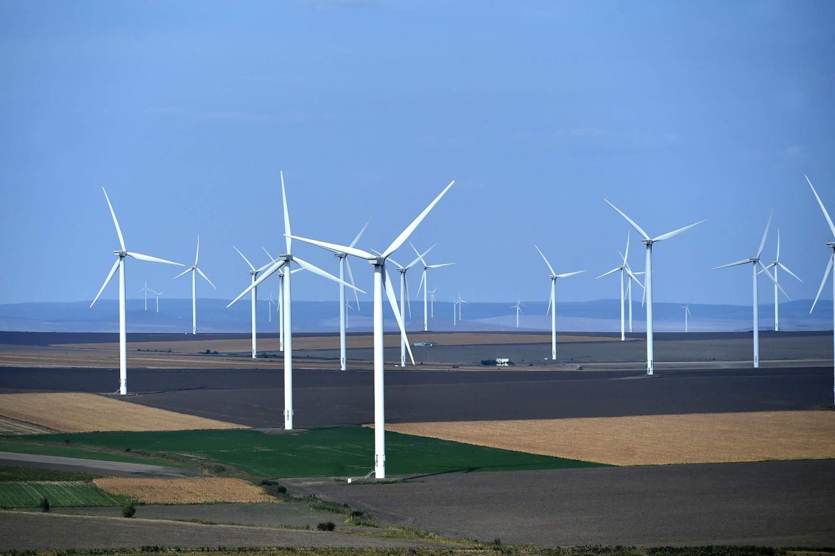 Cererea de energie verde,  în continuă creştere 265407