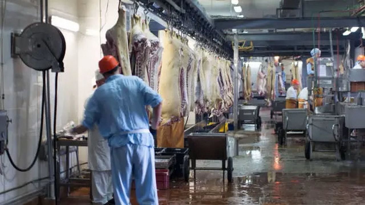 Prețul cărnii de porc, în scădere în UE, inclusiv în România 265404