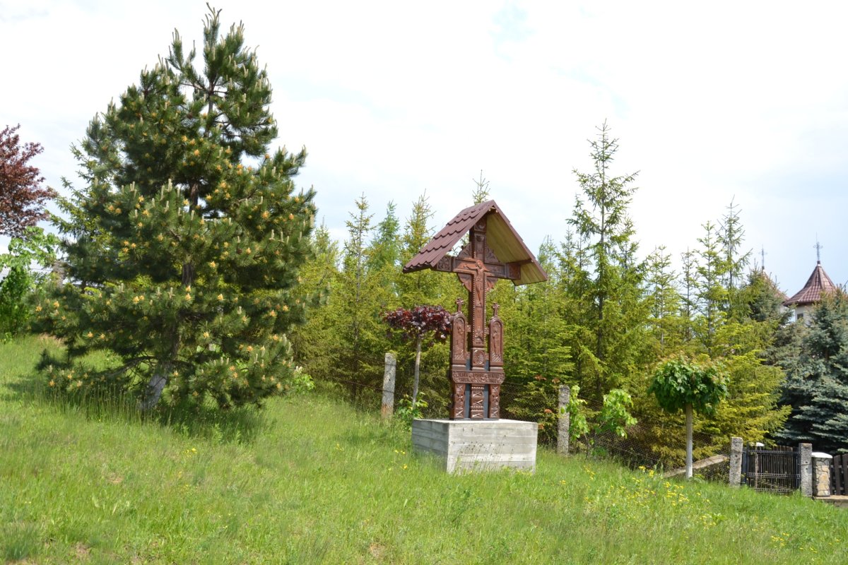 Schitul Cantemireștilor, o probă de rezistență a memoriei locului 265383