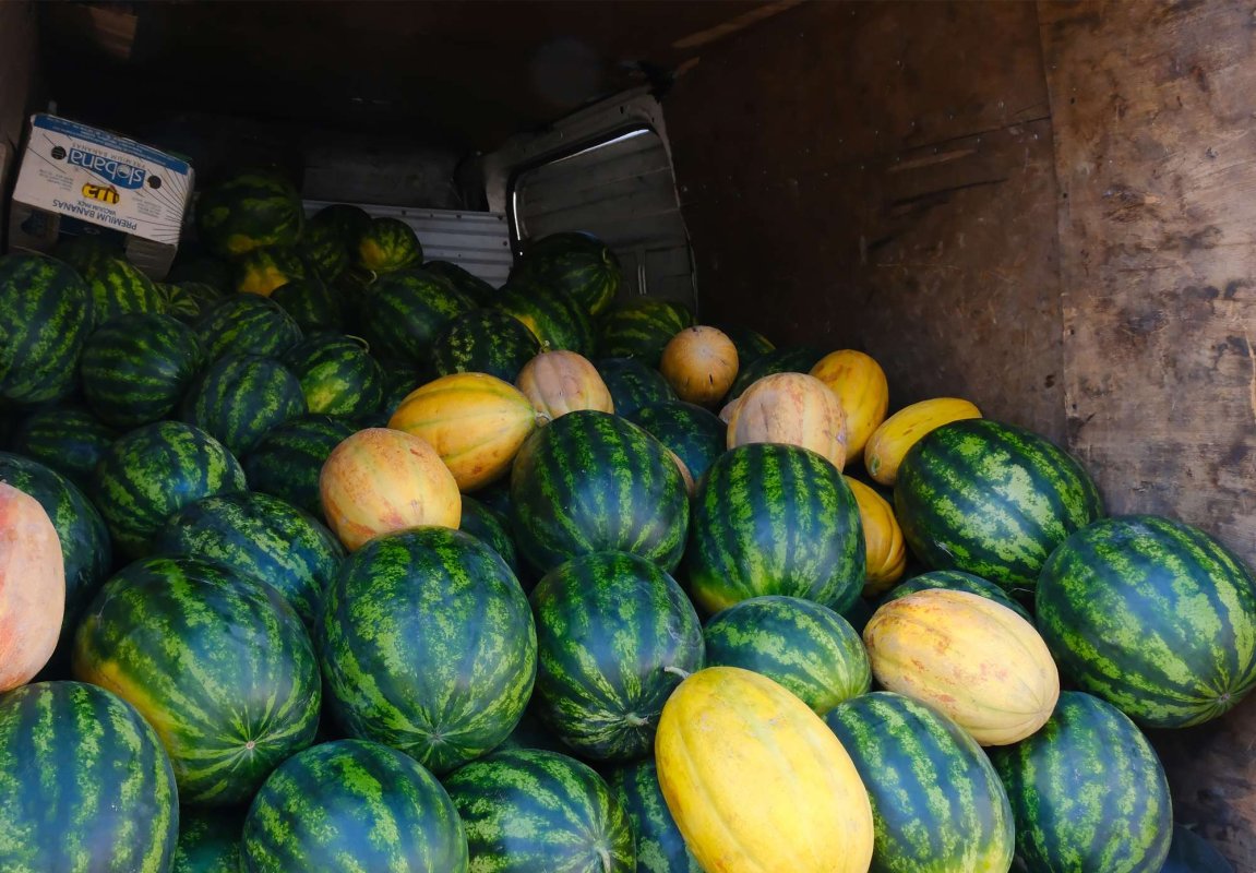 Patru tone de pepeni donate persoanelor instituţionalizate 265727