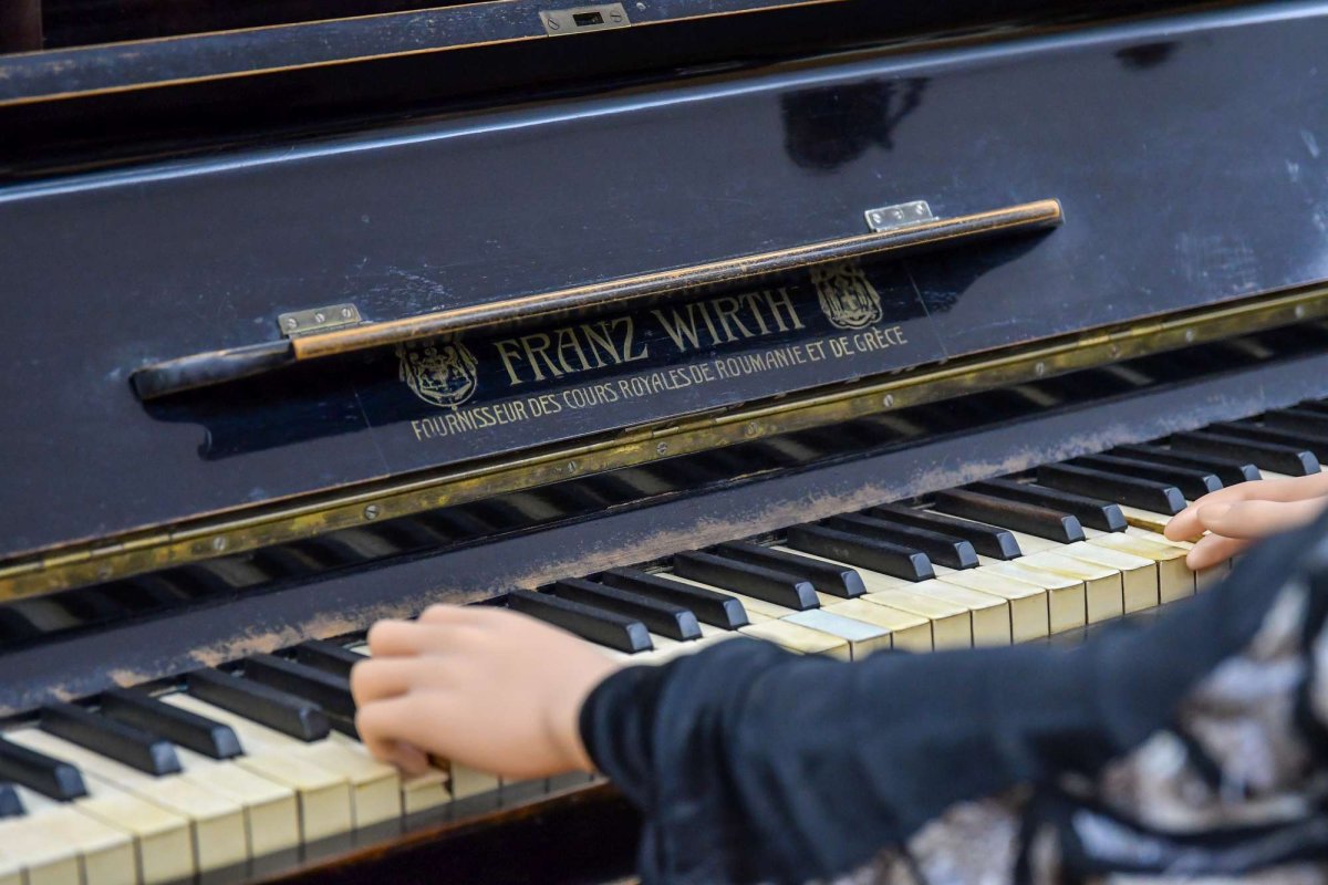 Muzica în viața noastră 265866