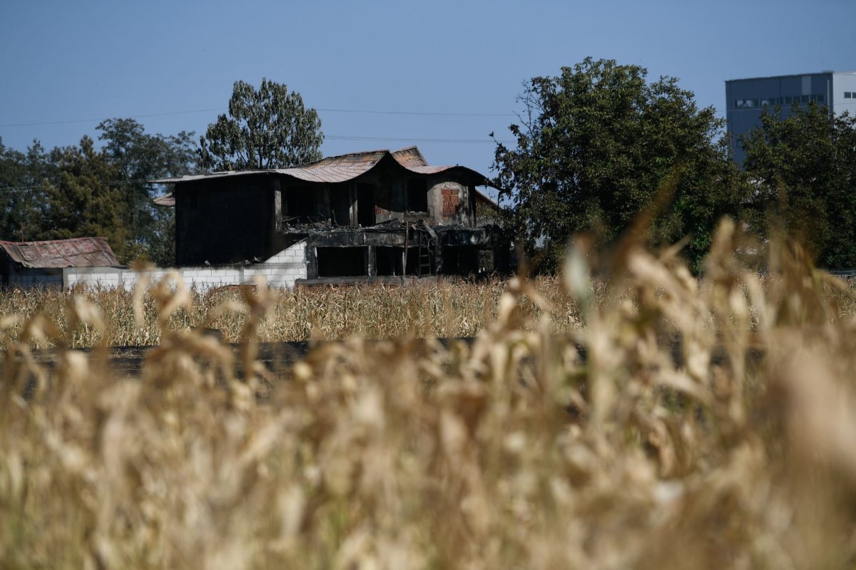 Ajutoare de urgență pentru victimele de la Crevedia 266039