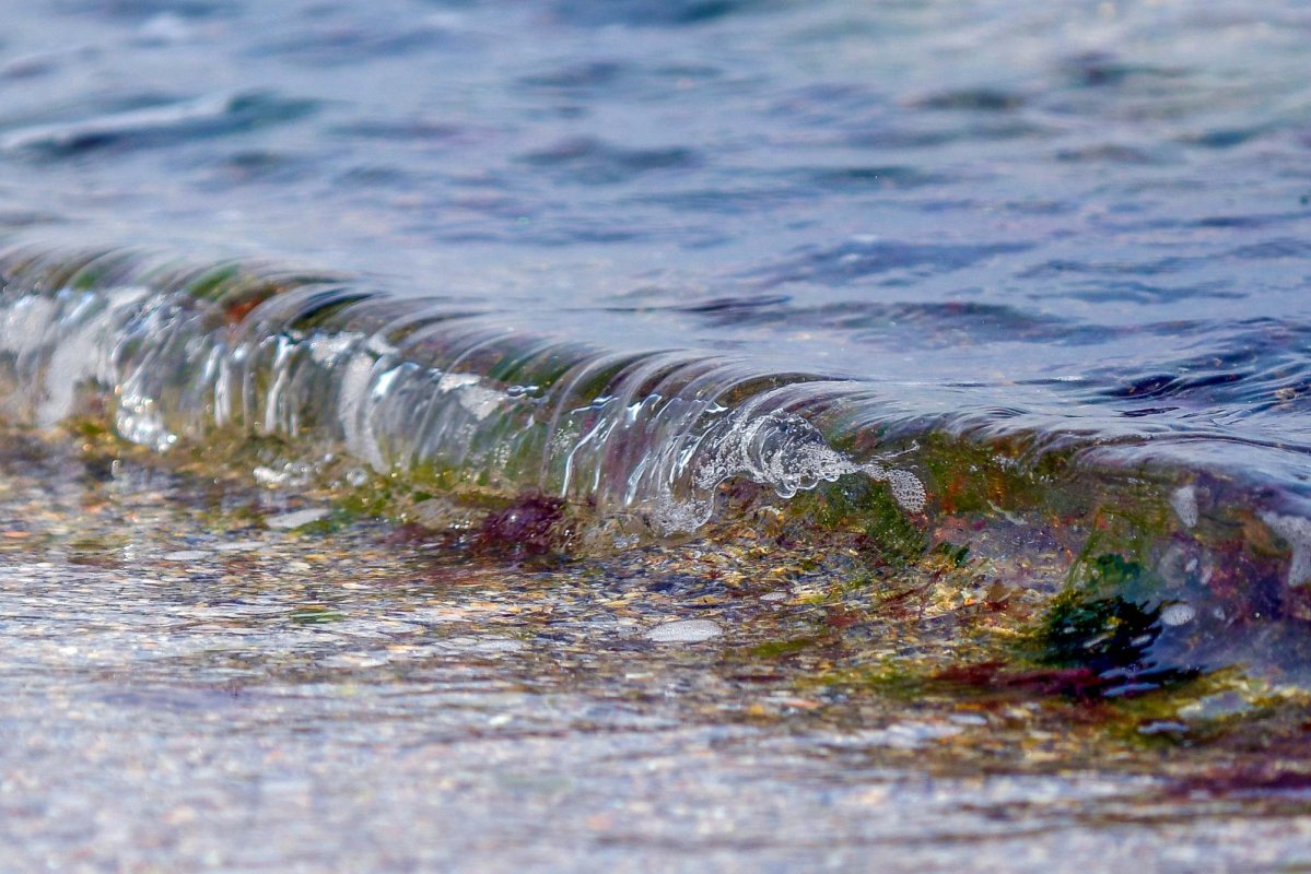 Bunătatea creației și miopia axiologică 266205