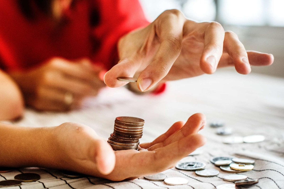 Felurile ispitei 267804