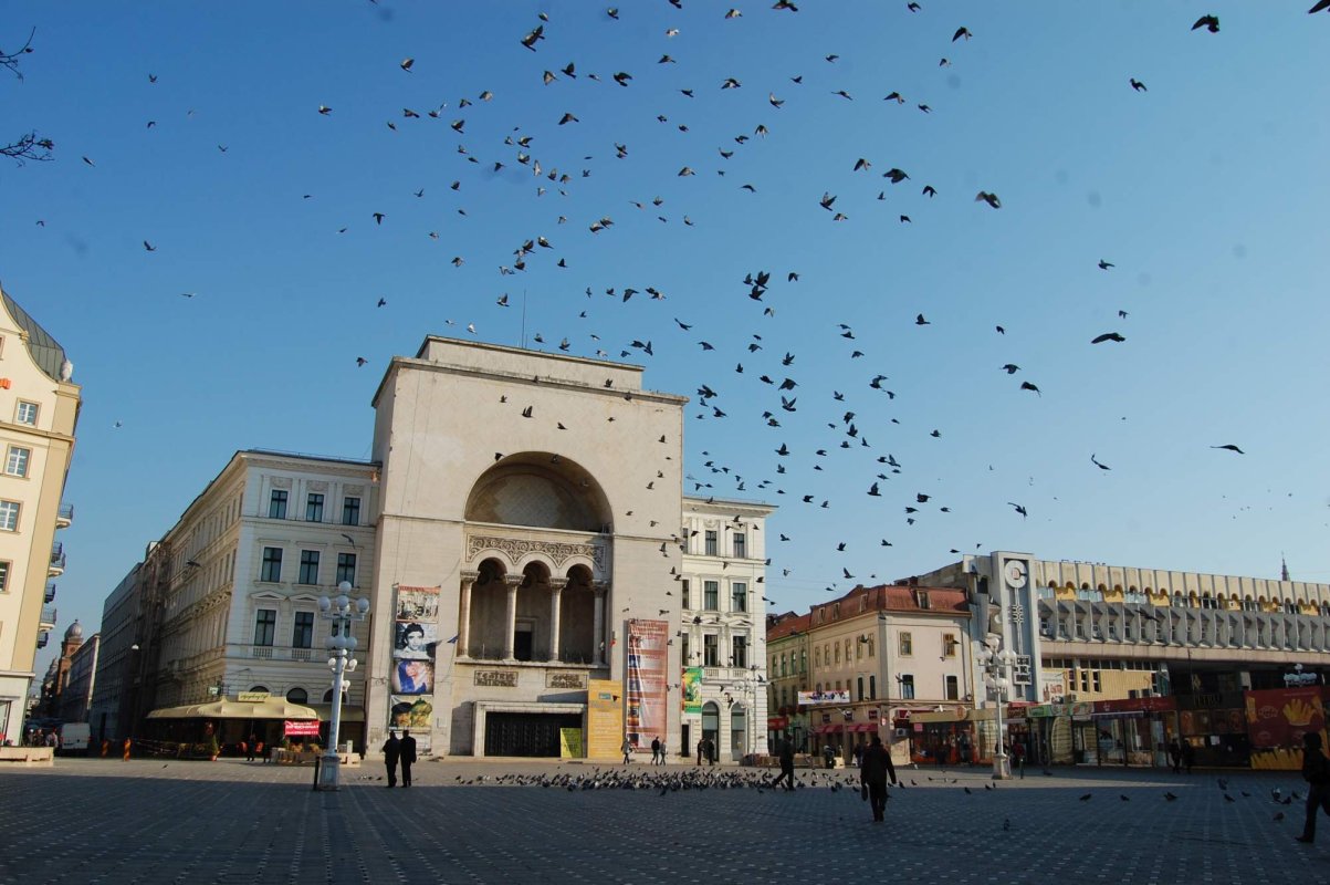 De ce Timișoara! 266426