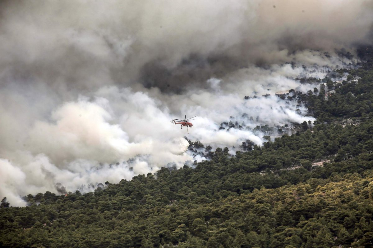 Pompierii români din Grecia, lăudați în The New York Times 266920