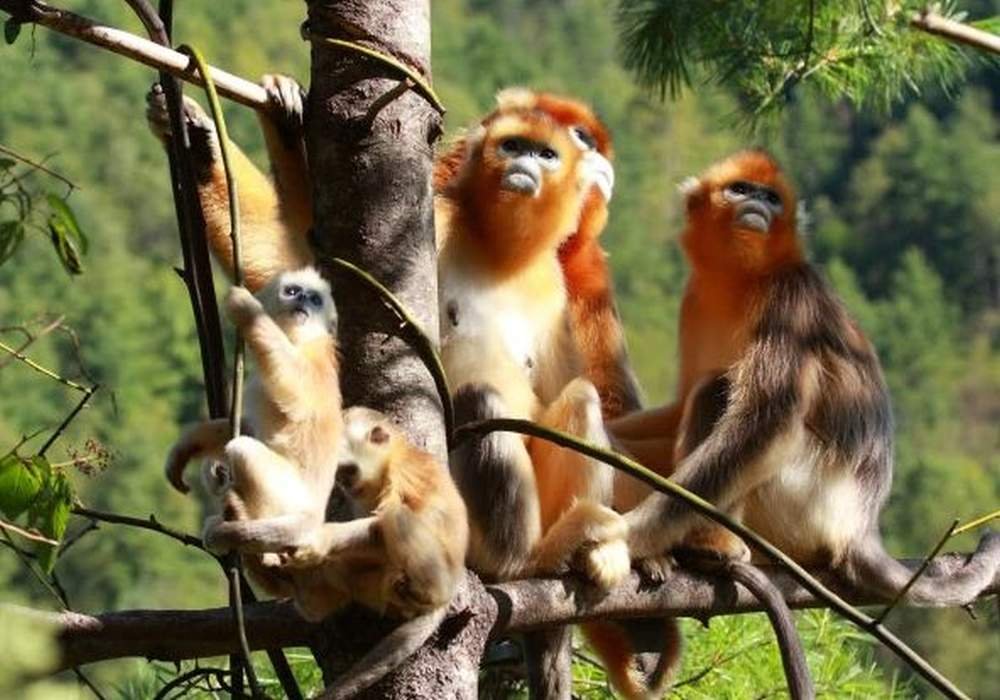 Apel către guverne să își protejeze siturile de pe lista UNESCO  267074