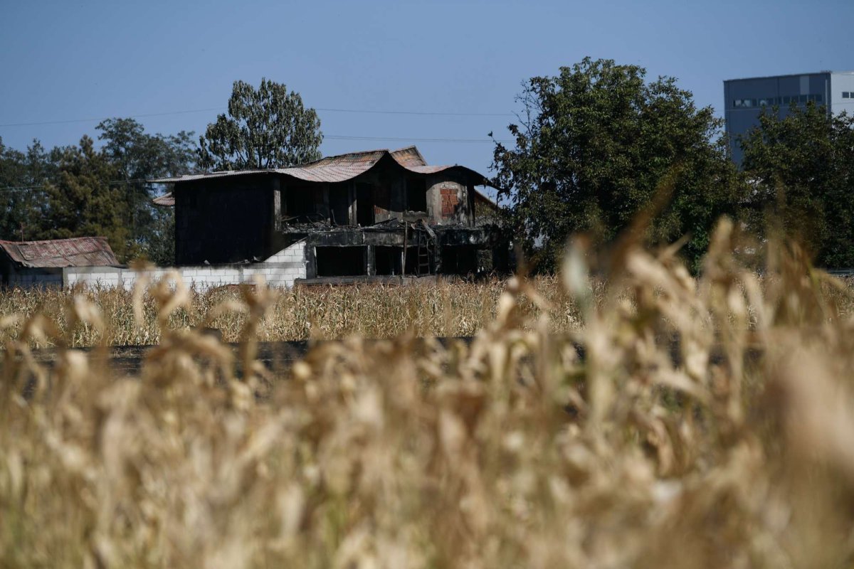 Patronii stației GPL, arestați 267395