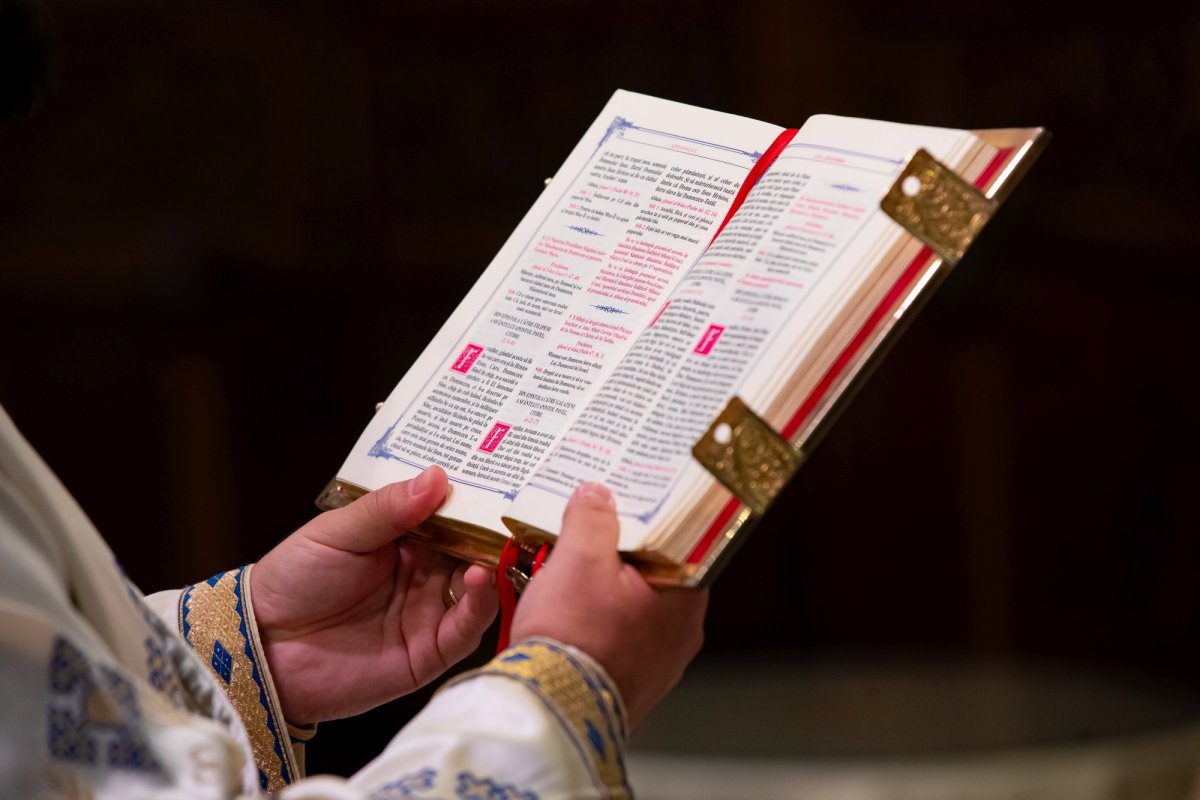 Sărbătoarea Nașterii Maicii Domnului pe Colina Bucuriei 267448