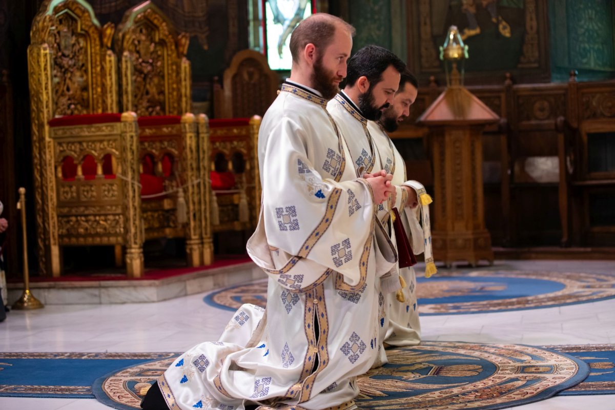 Sărbătoarea Nașterii Maicii Domnului pe Colina Bucuriei 267459