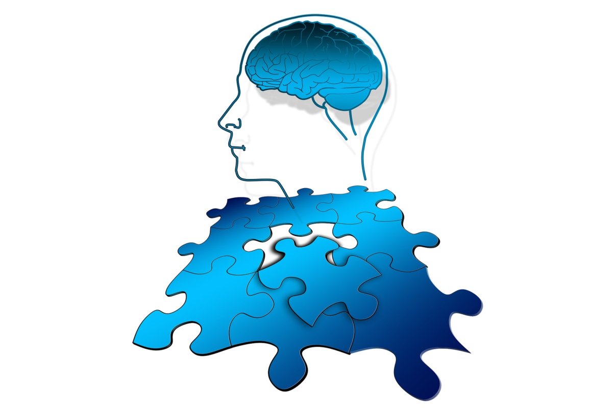 Puzzle-urile digitale, stimulent pentru memorie 268082