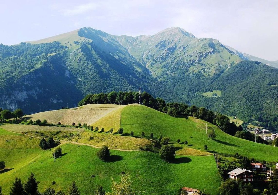 Contemplarea naturii şi ieşirea din depresie 267790