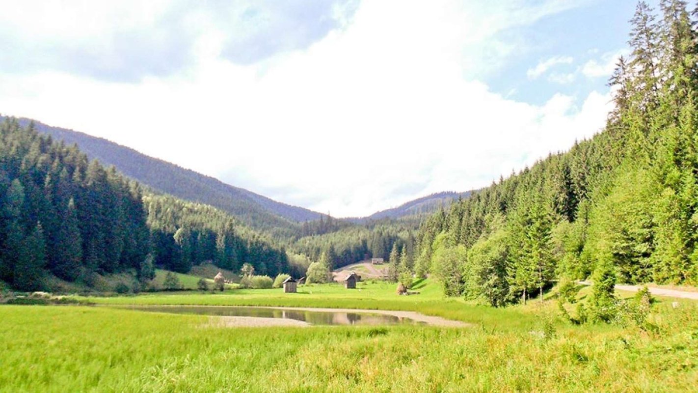 Contemplarea naturii şi ieşirea din depresie 267791