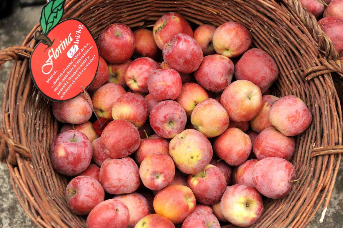 Târg de toamnă la Galați 269008