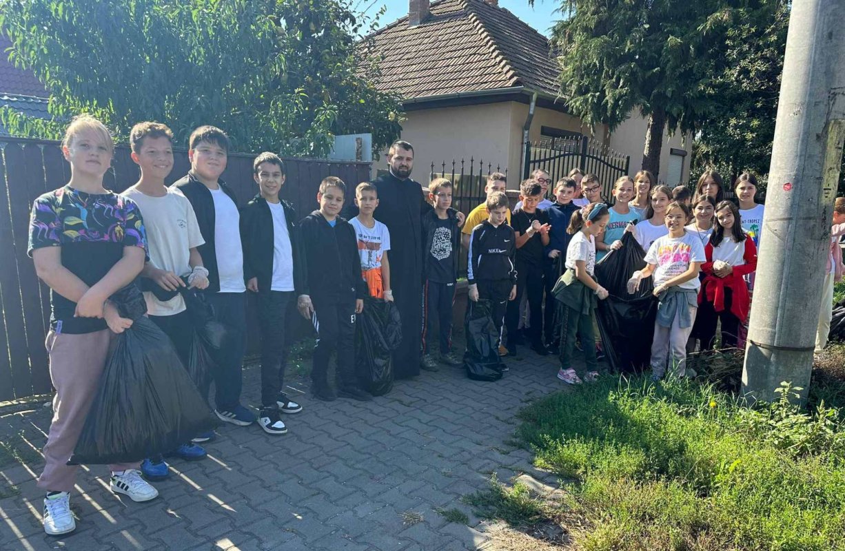 Acţiune de ecologizare în Târgu Mureş 269974