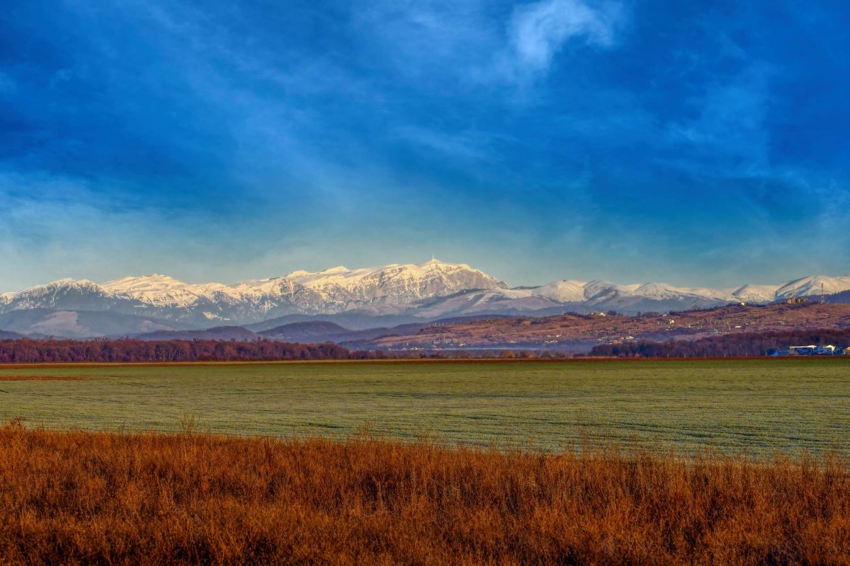 Prieteni și dușmani 270513