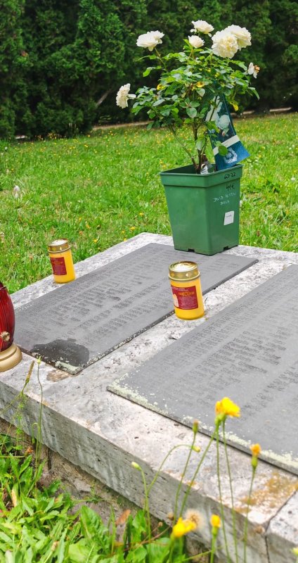 Iubirea de neam are înscrisă între lauri și numele lui 270732