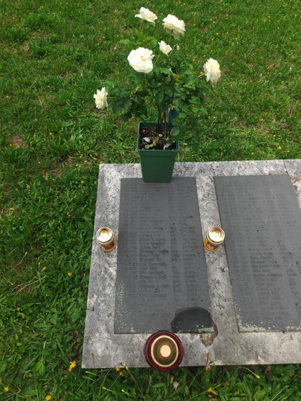 Iubirea de neam are înscrisă între lauri și numele lui 270733