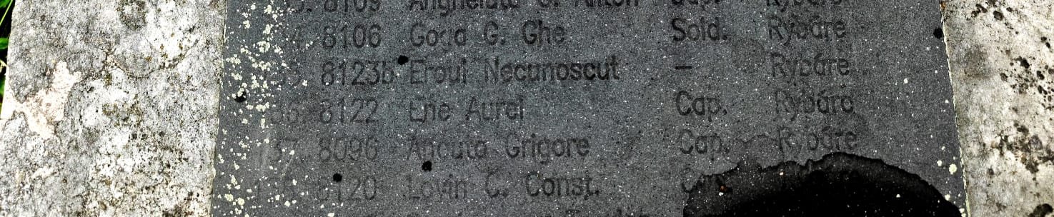 Iubirea de neam are înscrisă între lauri și numele lui 270735