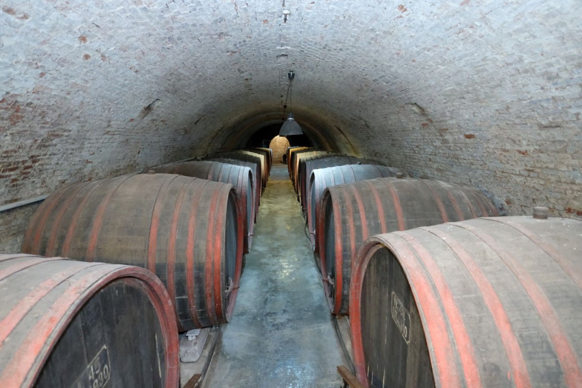 Biserica istorică din Manasia, ca o aripă de înger 270879