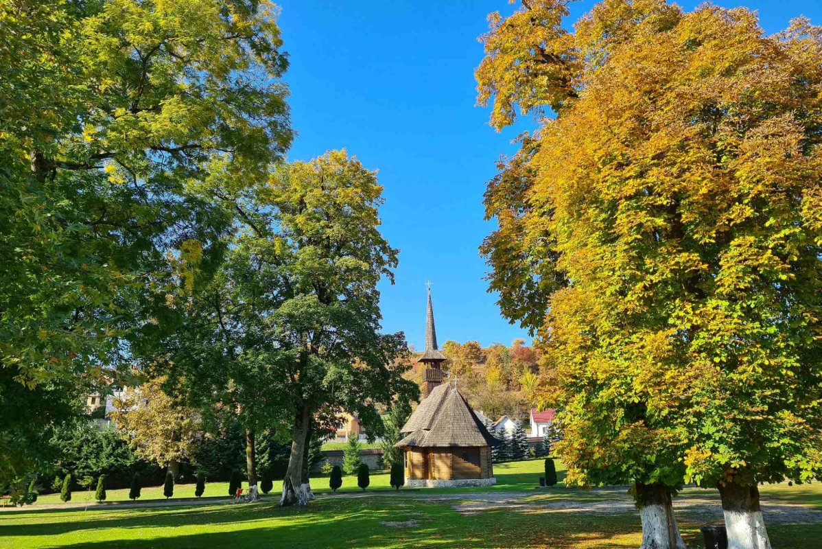 Sfântul Apostol şi Evanghelist Luca prăznuit la Mănăstirea Dobric  272931